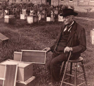 Fotografía o ilustración histórica de colmena Langstroth o apicultura moderna